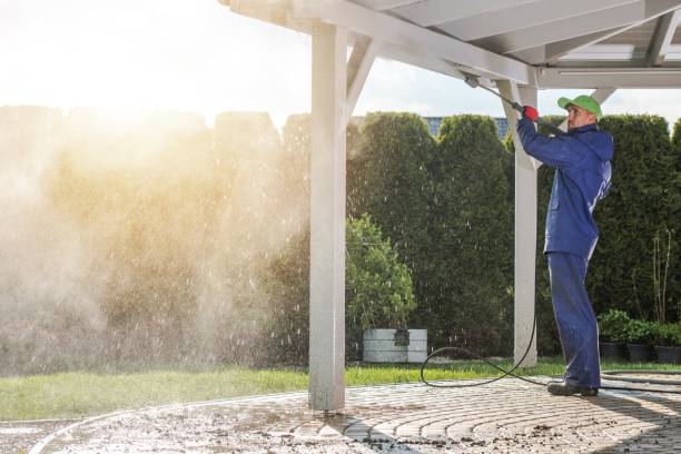 Best Sidewalk and Walkway Cleaning  in Yankton, SD
